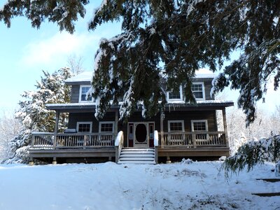 Cabin wood haliburton photo