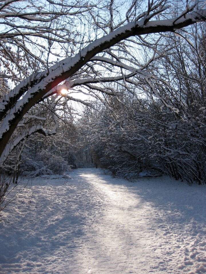 Winter backlighting away