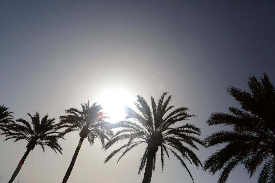Spain sun sunlight photo