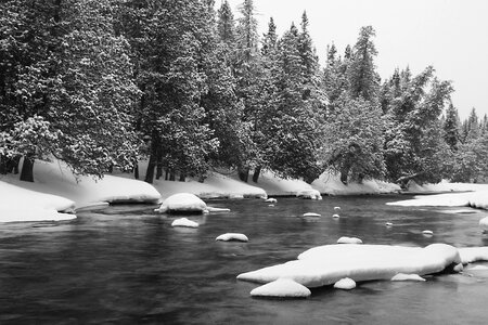 Frozen cold forest photo