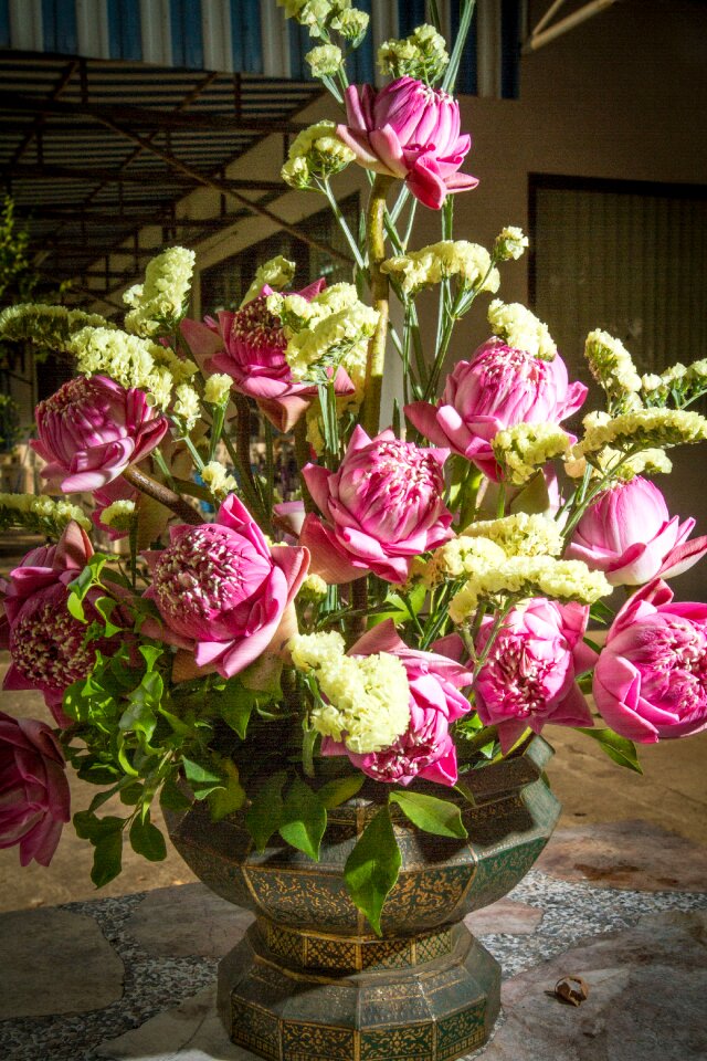 Potted plant flowers decoration
