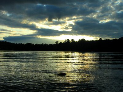 Forest sky haliburton
