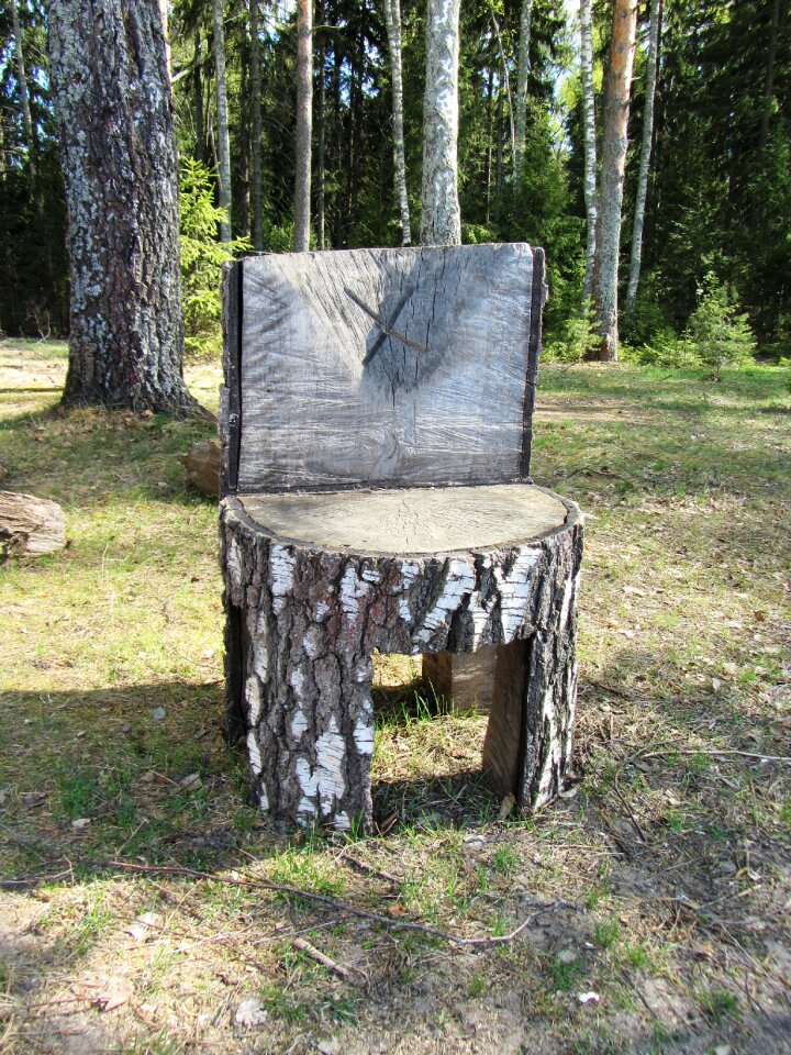 Chair forest tree