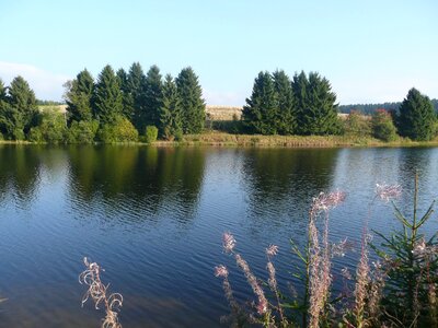 Ponds nature landscape