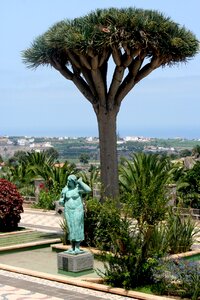 Spain statue tree