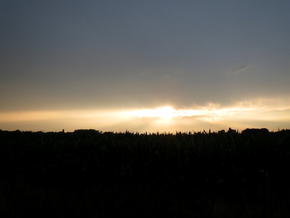 Landscape nature air