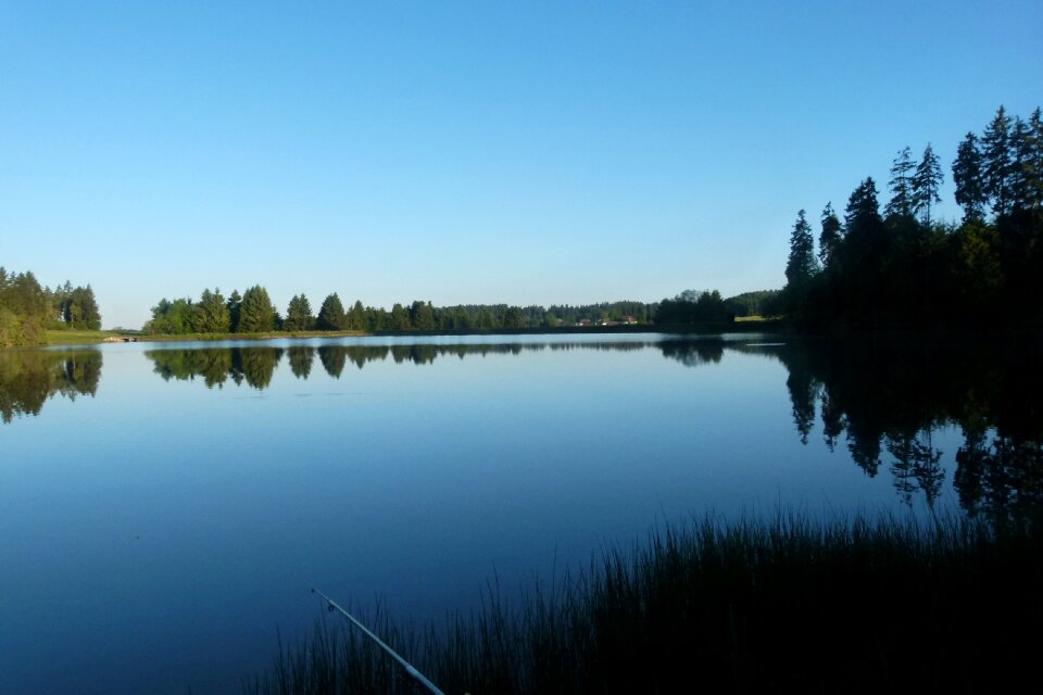 Ponds nature landscape