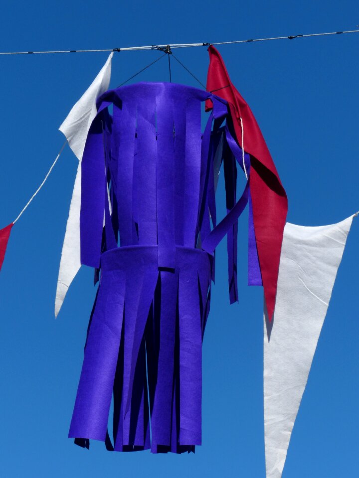 Blue pennant fransen