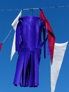 Blue pennant fransen