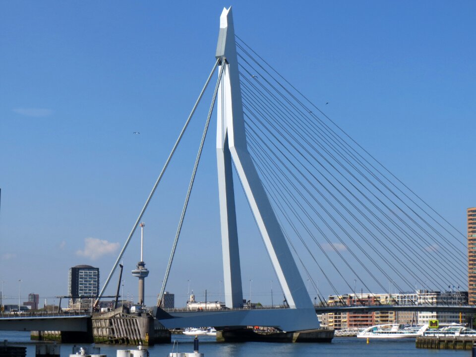 Metropolis erasmus bridge marathon