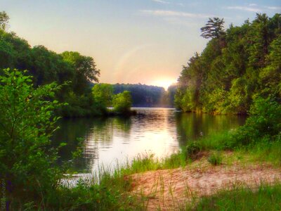 Morning woods water