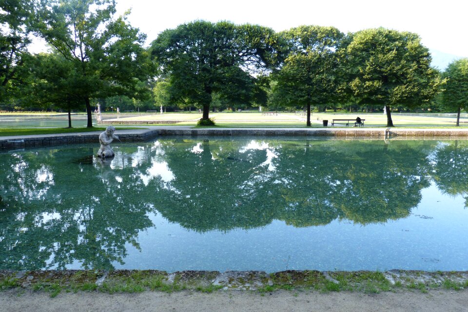 Trees reflection mirroring