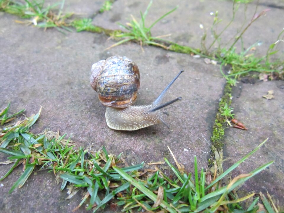 Watch nature swirl