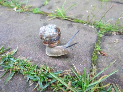 Watch nature swirl