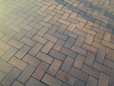 Paving stones texture soil