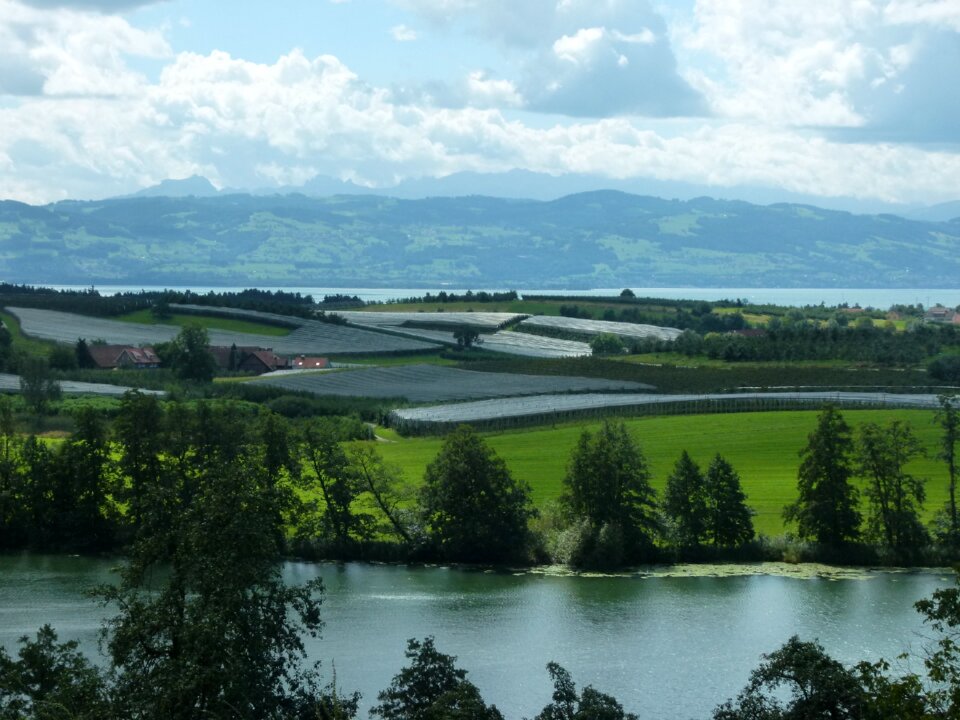 Growing area lake constance water