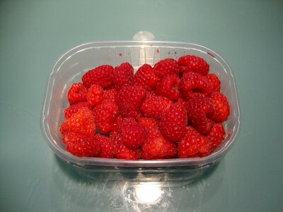 Raspberry food nutrition