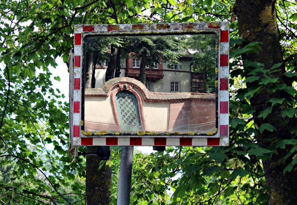 Reflect trees manor house