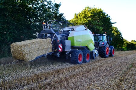 Harvest wheat fendt