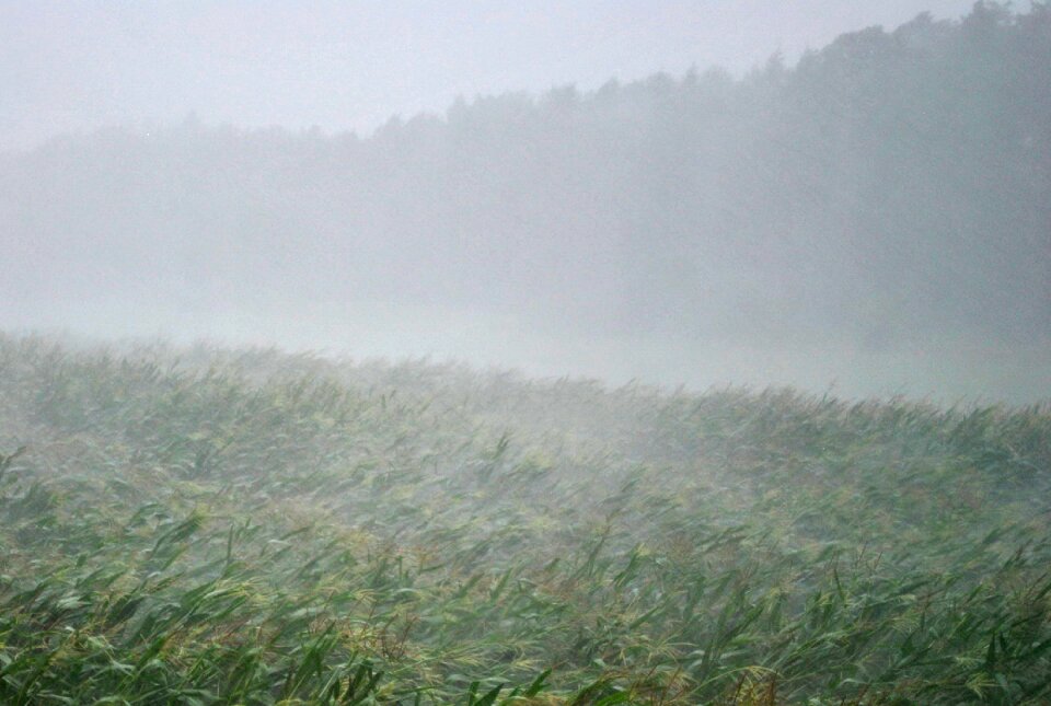 Rain gloomy weather phenomenon