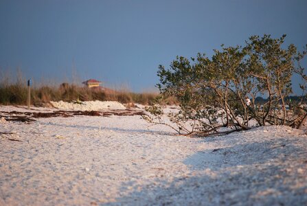 Coast tropical sand photo