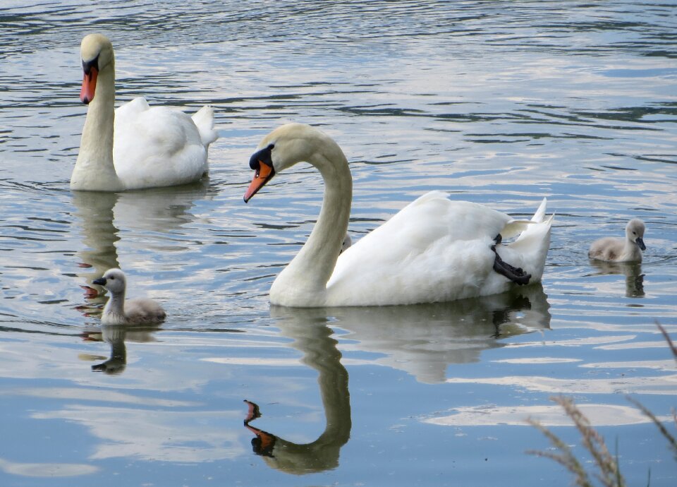 Sublime beautiful graceful