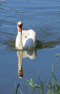 Sublime beautiful graceful