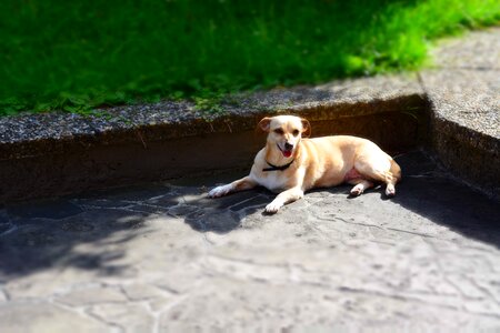 Recovery rest concerns