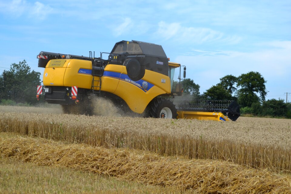 Harvester wheat harvest