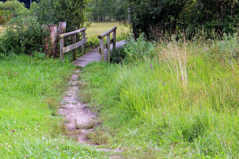 Away nature wooden bridge