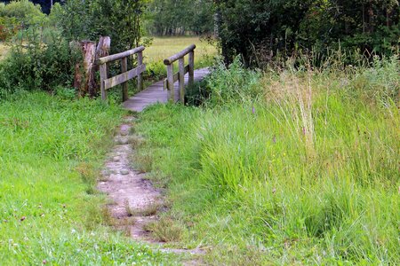 Away nature wooden bridge