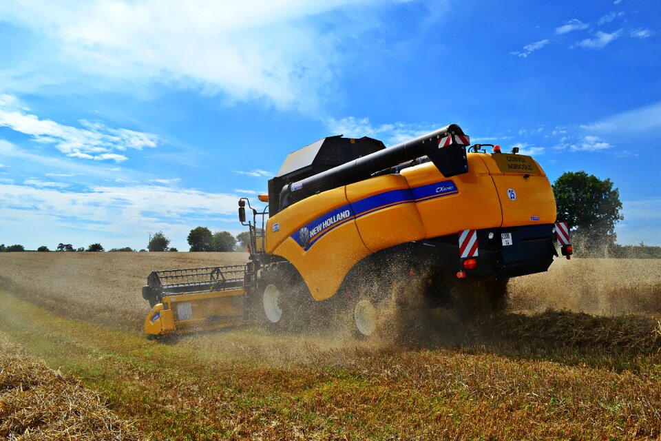 Harvester wheat harvest