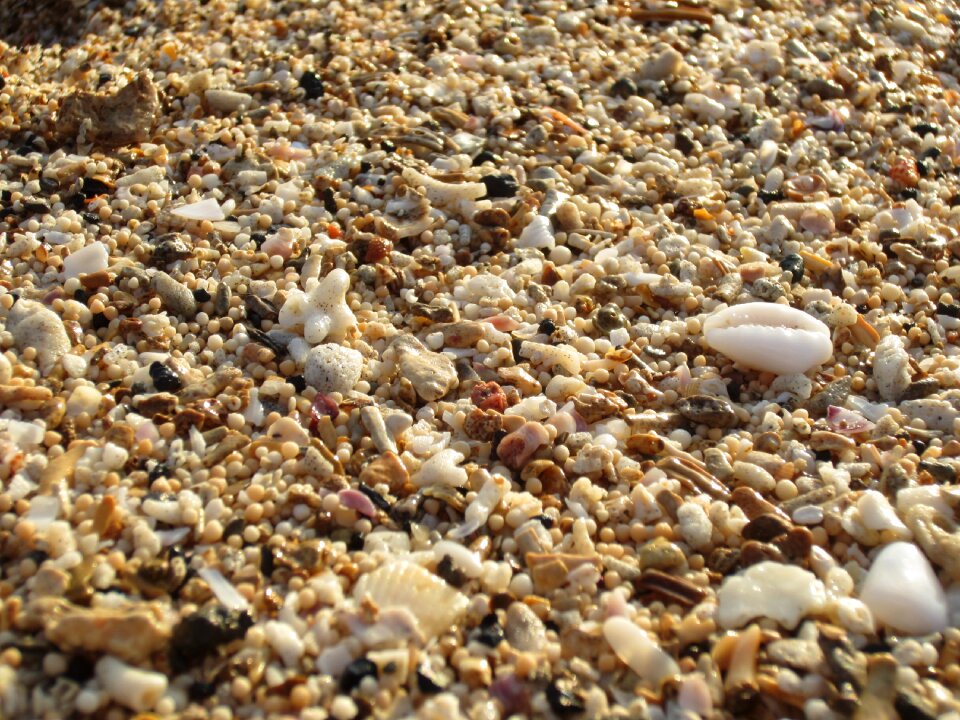 Natural texture shore