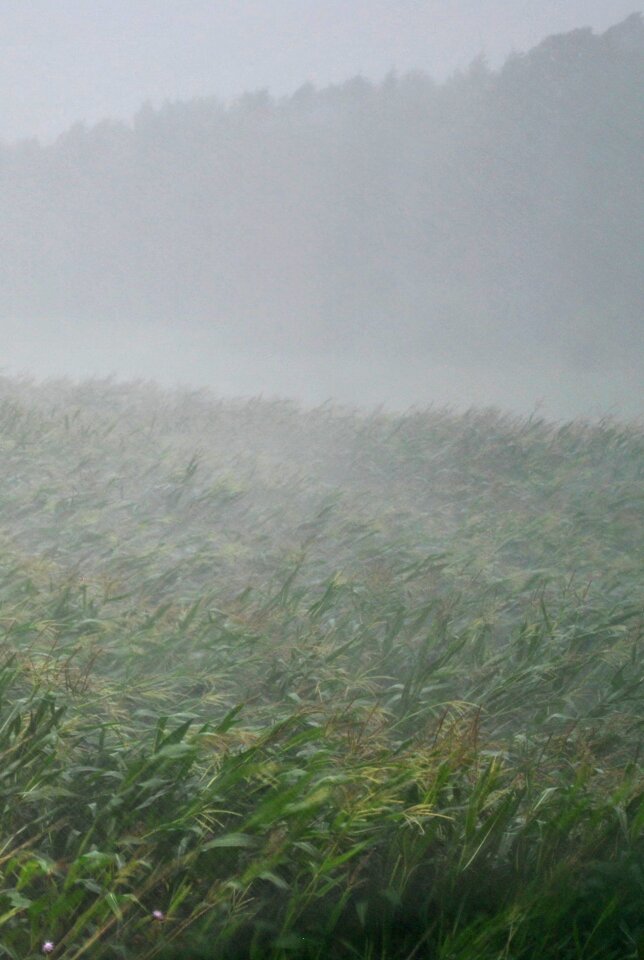 Forward storm thunderstorm rain