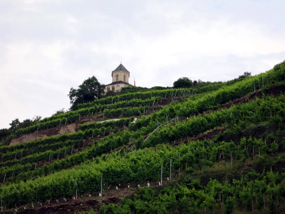 Gondorf matthias chapel vineyards