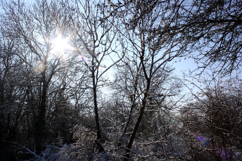 Cold frost sky