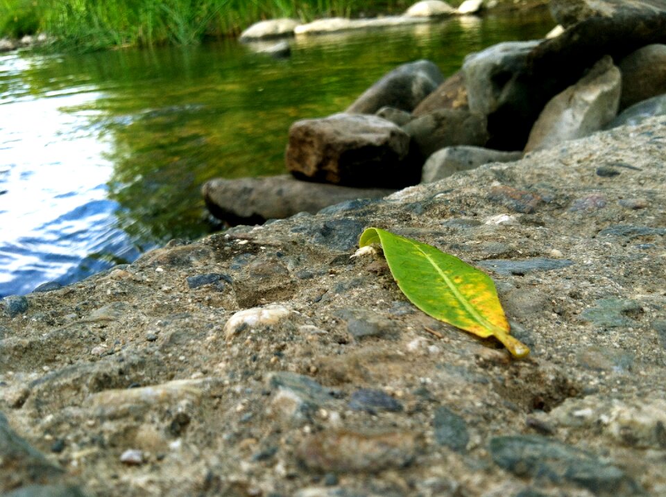 Green abstract clean