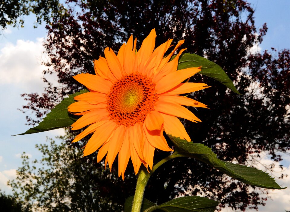 Summer colorful bright