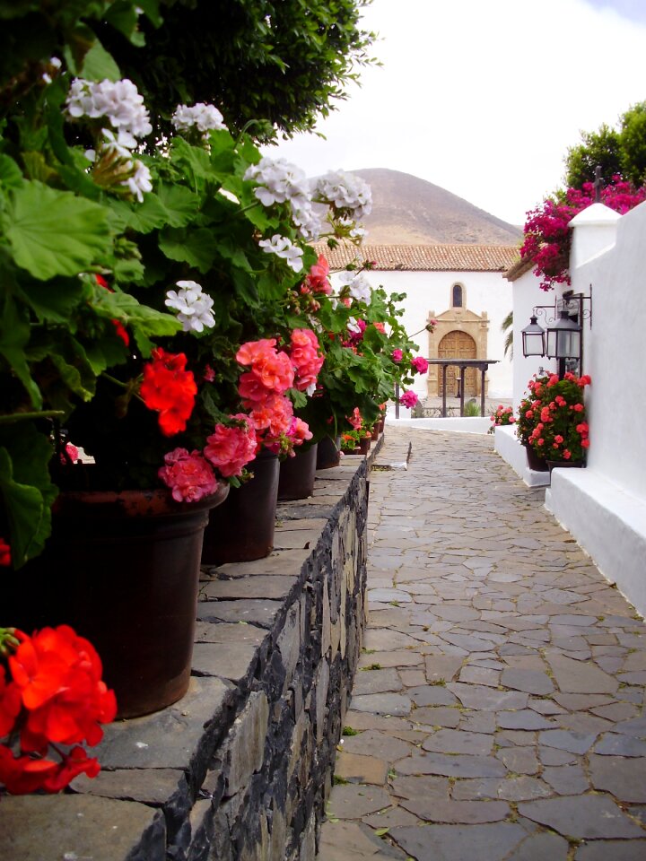 Canary rural village