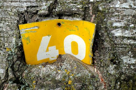 Tree bark characters public