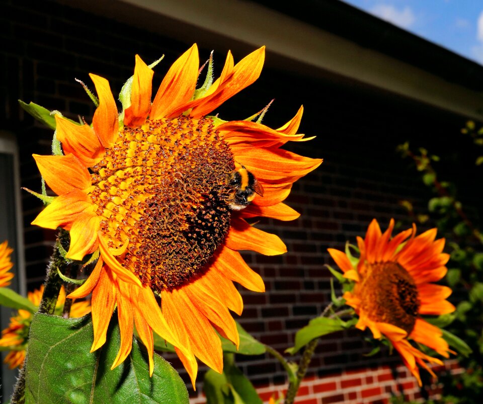 Summer colorful bright
