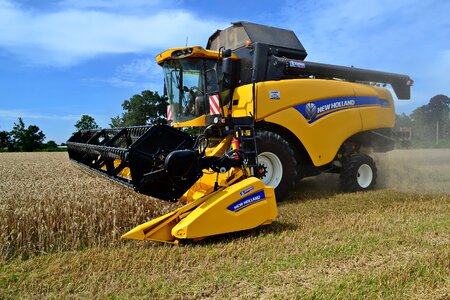 Harvester wheat harvest