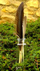 Bird feathers vase decoration