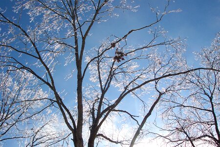 Winter sky nature