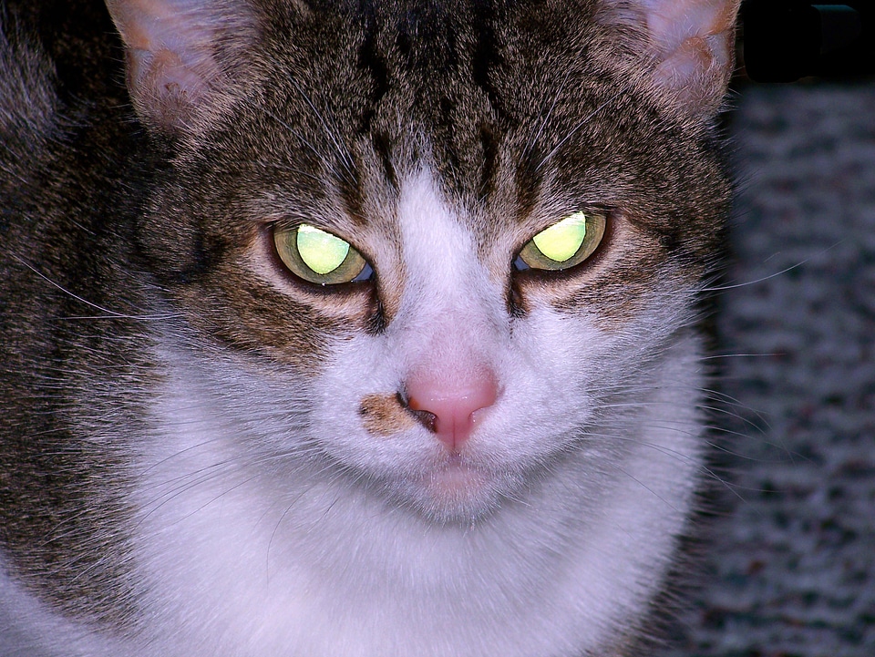 Glowing halloween horror
