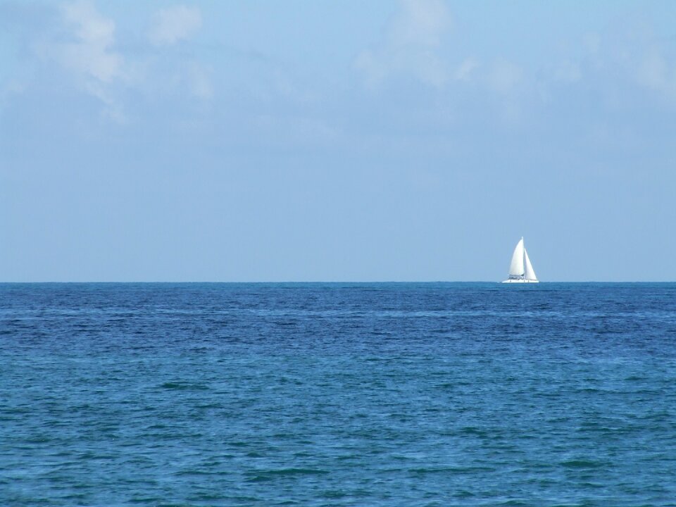 Port blue sailing