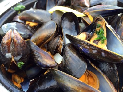 Seafood south sea
