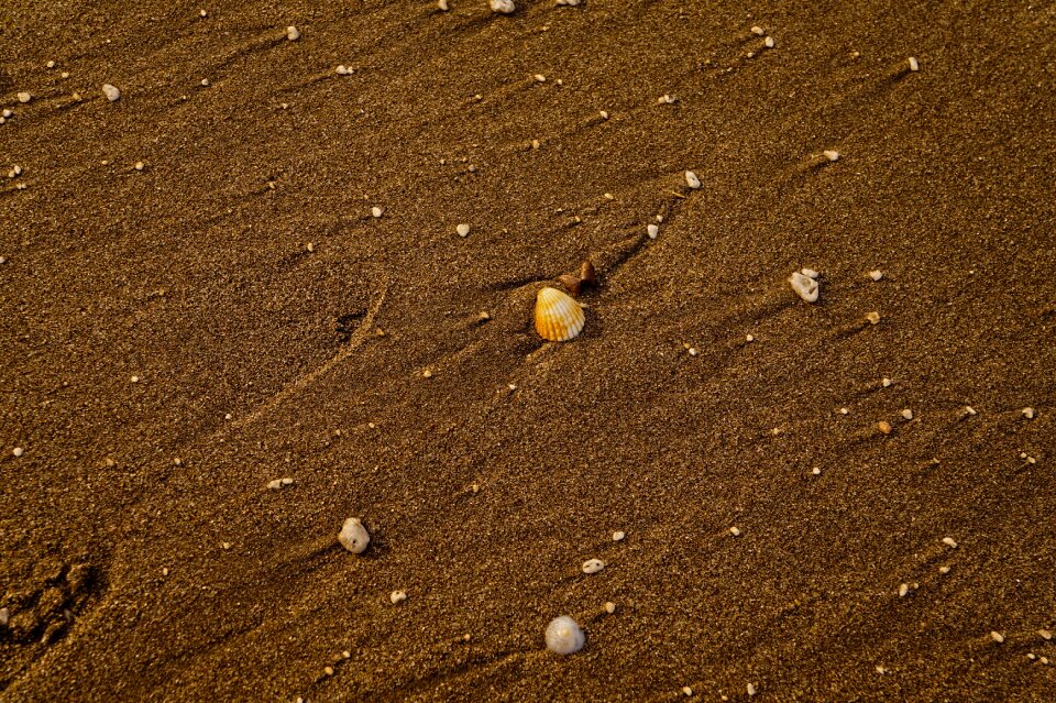 Beach coastal landscape