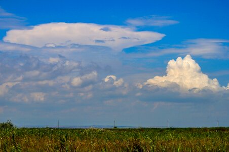 Nature blue summer