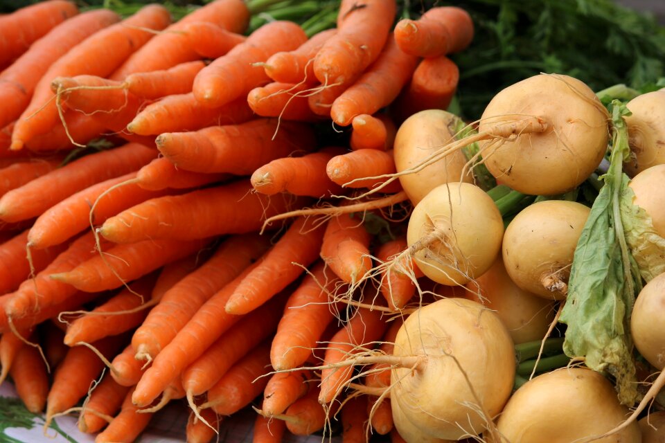 Turnip vegetarian vegetable